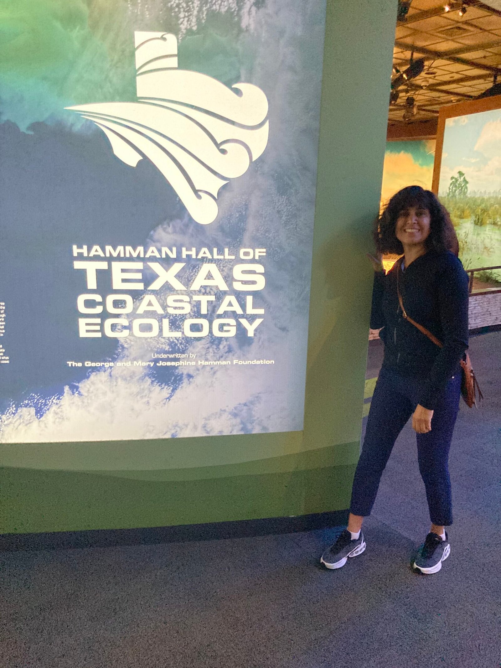 Read more about the article Protected: Houston Museum of Natural Sciences –Hamman Hall of Texas Coastal Ecology