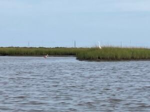 Read more about the article Protected: Artist Boat –West Galveston Island